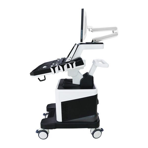4D color doppler
