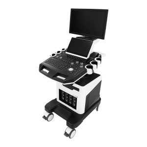 4D color doppler