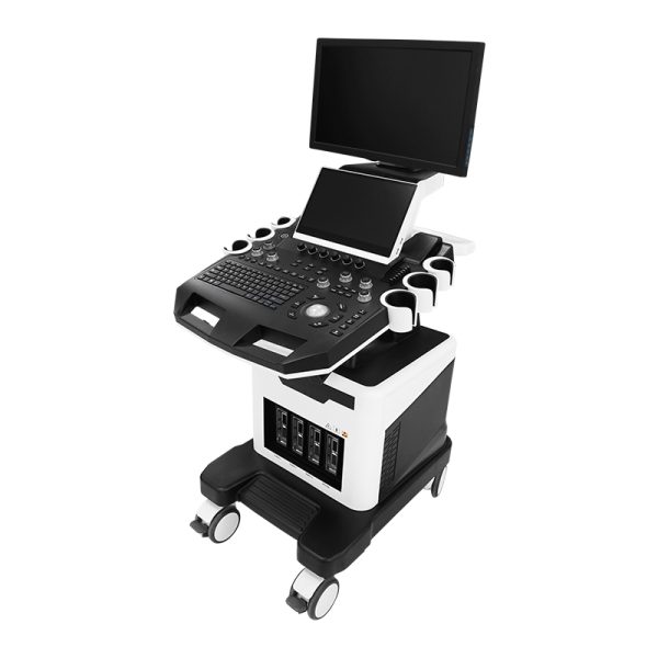 4D color doppler